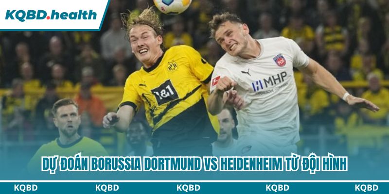 Dự Đoán Borussia Dortmund Vs Heidenheim – Bundesliga Ngày 01/02/2026 3 Dự đoán Borussia Dortmund vs Heidenheim từ đội hình