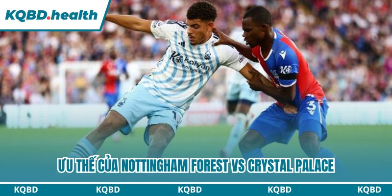 Dự Đoán Nottingham Forest Vs Crystal Palace - Ngoại Hạng Anh Ngày 02/02/2026 2 Lịch sử đối đầu phản ánh sự cân bằng giữa hai đội