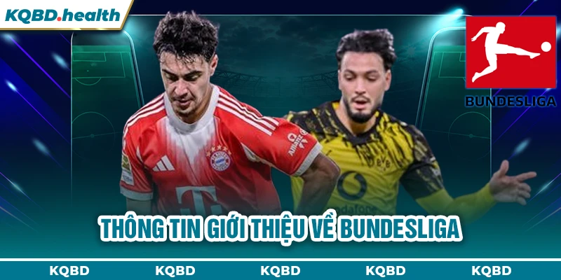 Bundesliga 13 Thông tin giới thiệu về Bundesliga