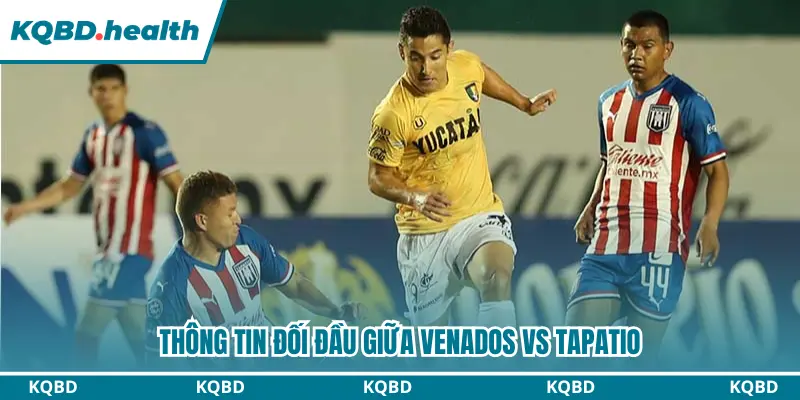 Thông tin đối đầu giữa Venados vs Tapatio